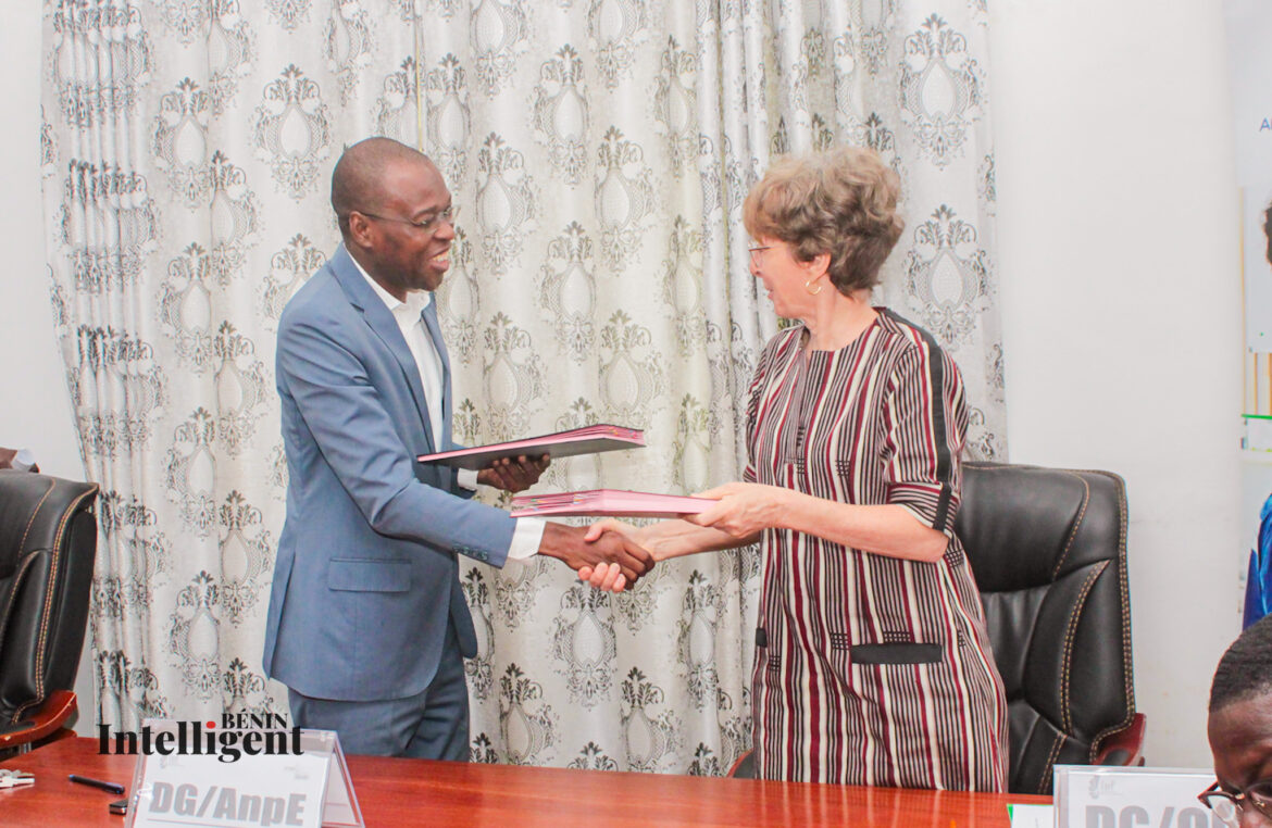 Insertion professionnelle des jeunes